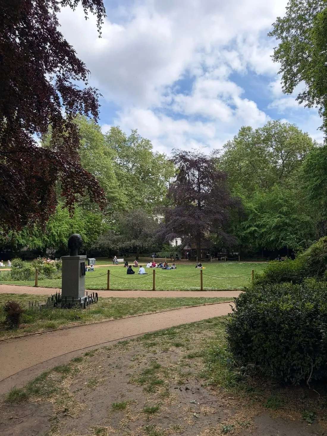 Managed amenity trees around a public park lawn