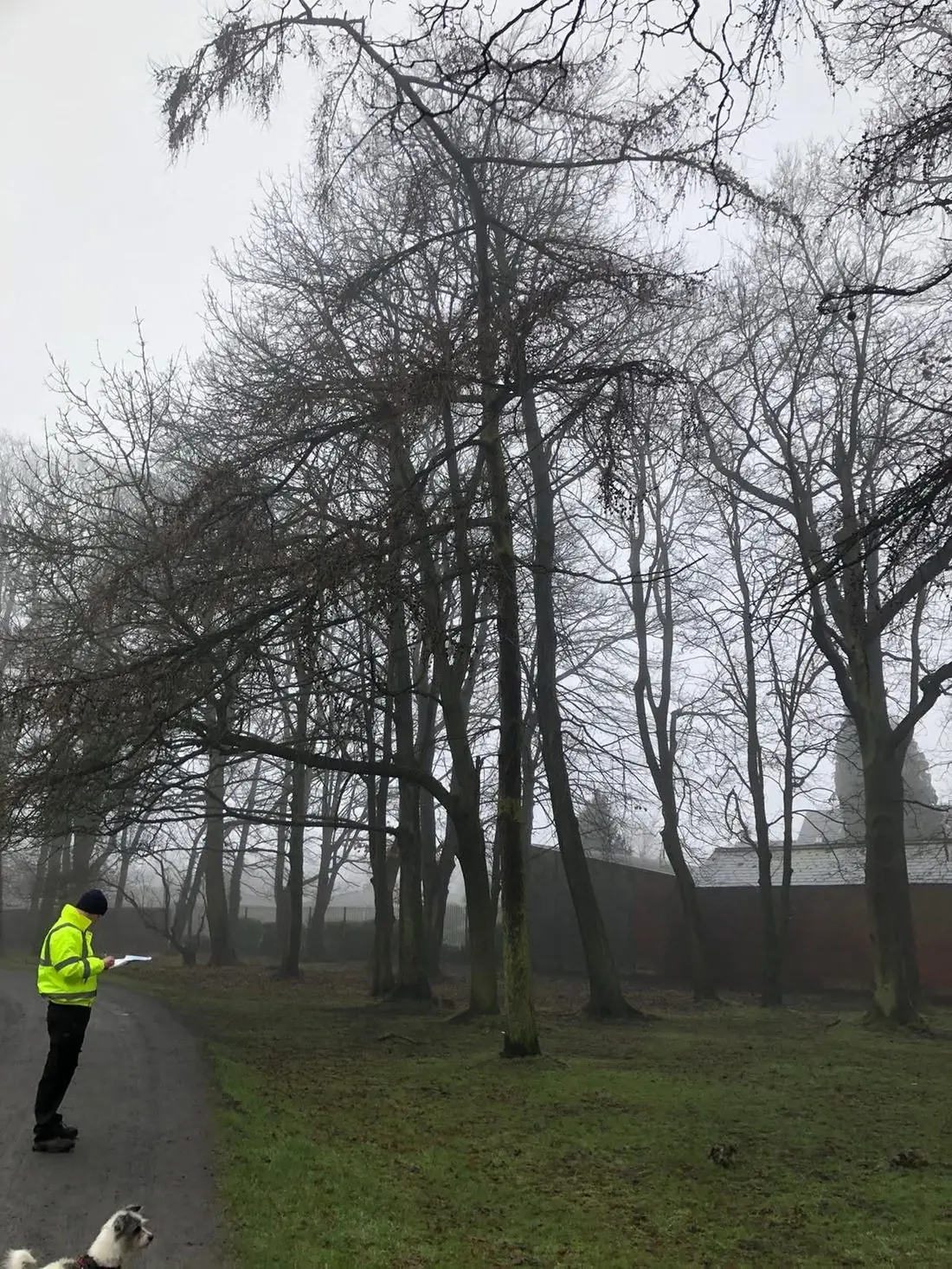 Consultant recording tree survey notes in a parkland setting